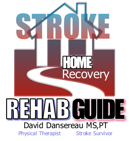 David Dansereau's Home Stroke Recovery Guide